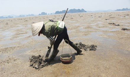 Săn “thần dược” giữa lòng di sản - 3