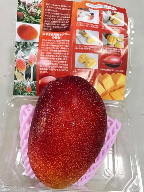 Kiwi vàng, xoài đỏ, nho ngón tay thay vải, mận cúng Tết Đoan Ngọ - 4