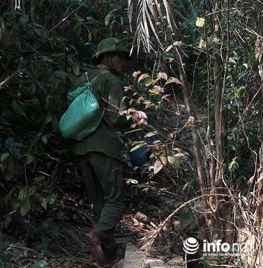 Quảng Bình: Lạ lùng chuyện mua chim trên cây - 3