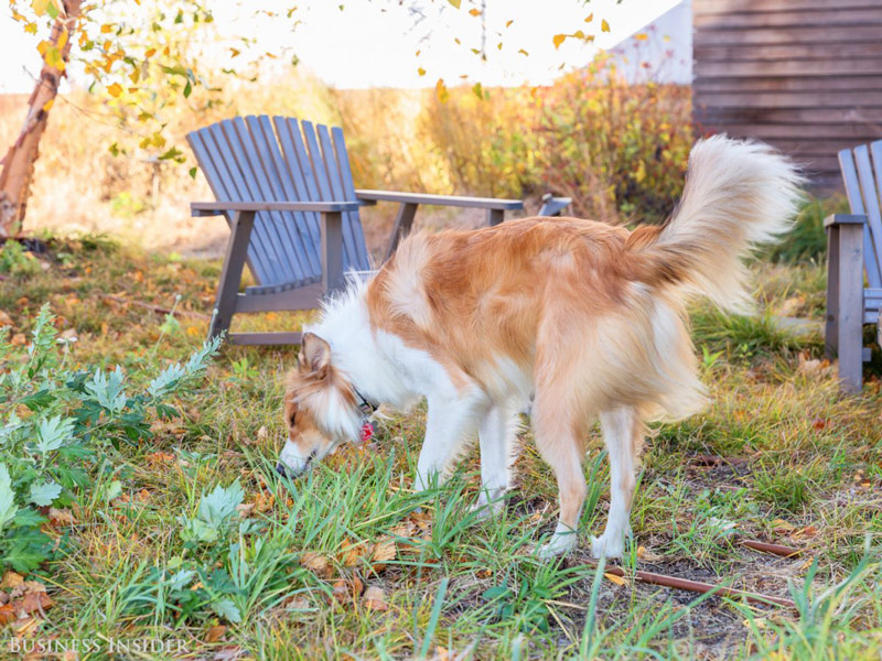 Các công ty hàng đầu TG tạo điều kiện "ăn, chơi" cho nhân viên như thế nào? - 11