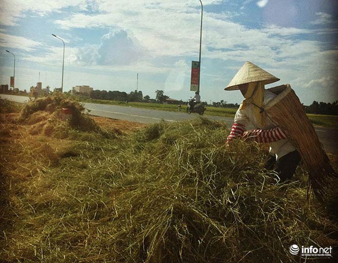 Muôn kiểu tránh nóng của người Hà Nội - 13