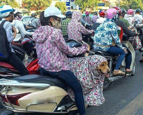 Nắng 50 độ C, chị em thà mặc phát ngốt còn hơn cháy da - 9