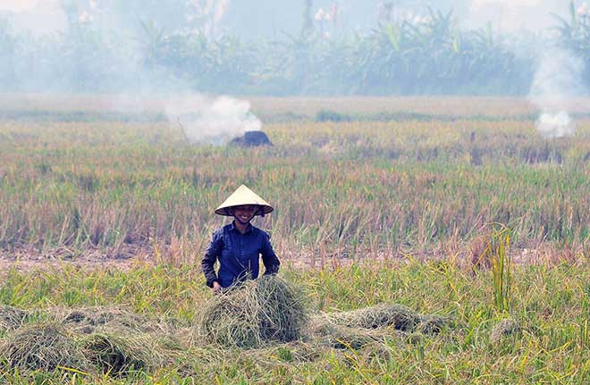 HN nóng như &#34;lò bát quái&#34; vì người dân đồng loạt phóng hỏa đốt rơm - 3