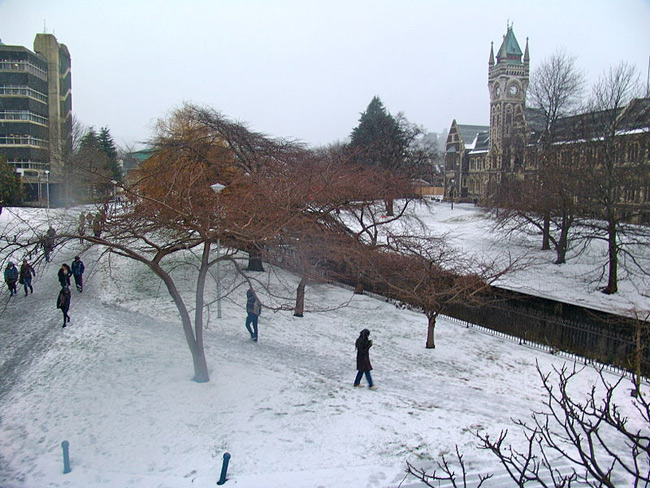 Khung cảnh trường phủ tuyết trắng xóa trong mùa đông.