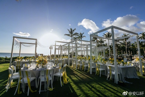 An Dĩ Hiên đẹp tựa như tranh trong đám cưới với tỷ phú USD - 9