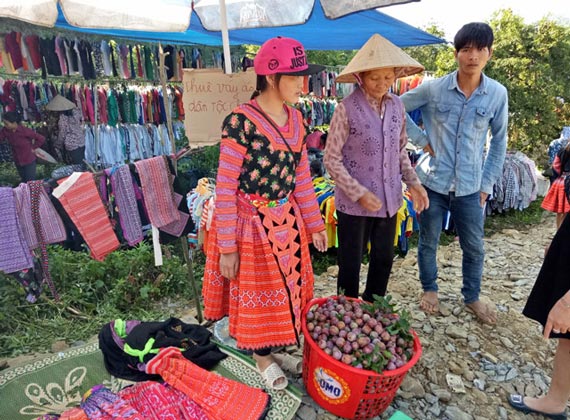 Trồng cây vừa ngắm hoa, vừa bán quả, lãi nửa tỷ đồng/năm - 3