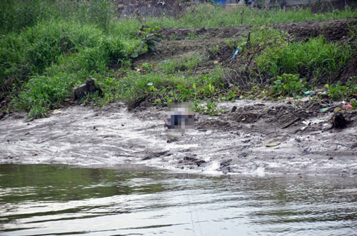 Phát hiện xác người không mặc áo trên sông Sài Gòn - 1