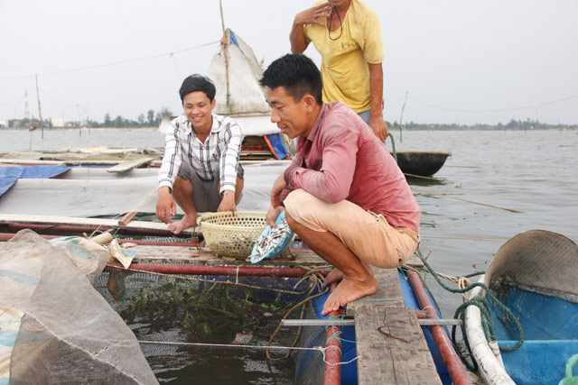 Bỏ lương 9 triệu về làng nuôi cá lồng muốn lãi 200 triệu/năm - 4