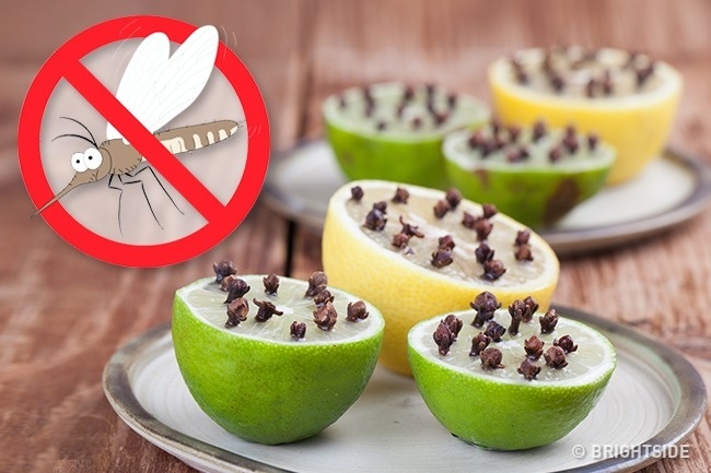 Đây là lý do người Nhật luôn để vài lát chanh trong phòng ngủ - 6