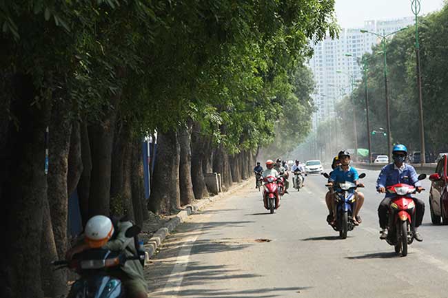 Đề xuất chặt 1.300 cây xanh: “Muốn giữ cây thì phải nắn đường” - 2