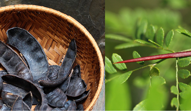 Viêm xoang, viêm mũi nặng đến mấy cũng chịu thua "mẹo vặt" này - 3