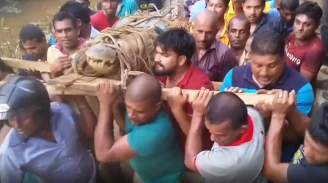Cả làng đi khiêng cá sấu khổng lồ dạt bờ ở Sri Lanka - 2