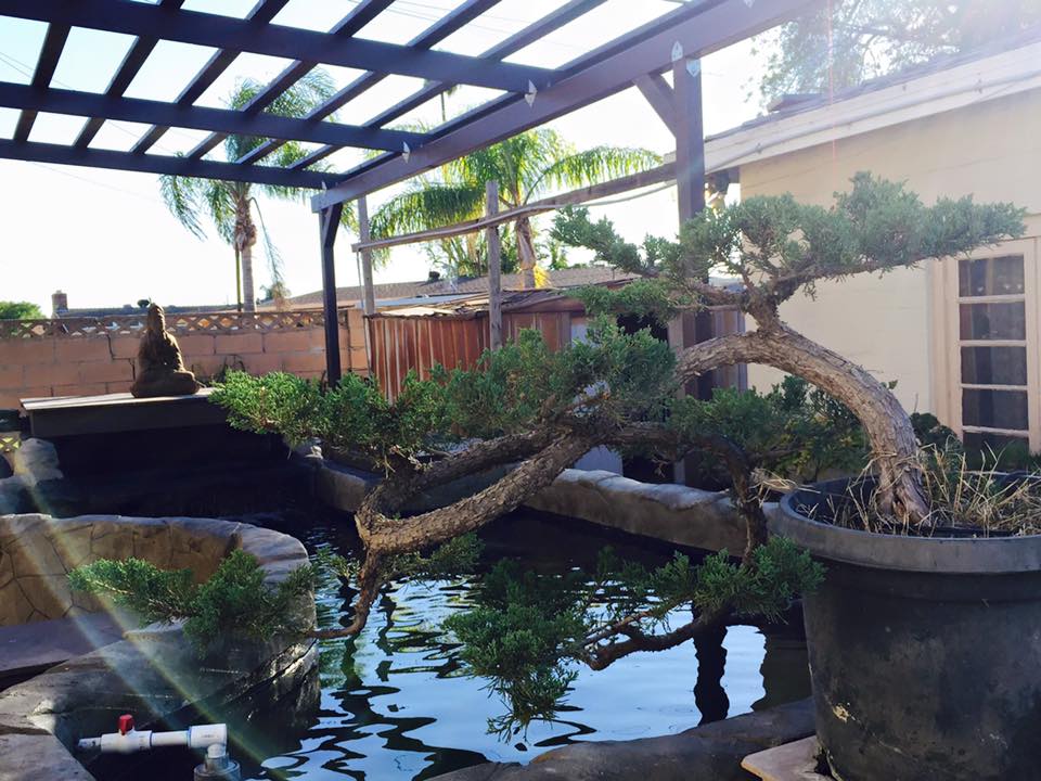 Thành viên Quả Dưa Hấu: Người ở biệt thự triệu đô, kẻ đi thuê nhà trọ - 3