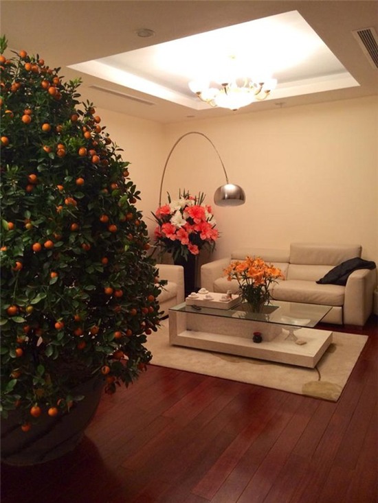 Thành viên Quả Dưa Hấu: Người ở biệt thự triệu đô, kẻ đi thuê nhà trọ - 12