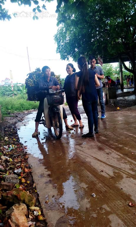 &#34;Săn&#34; thương lái Trung Quốc ở vựa vải thiều lớn nhất nước - 5