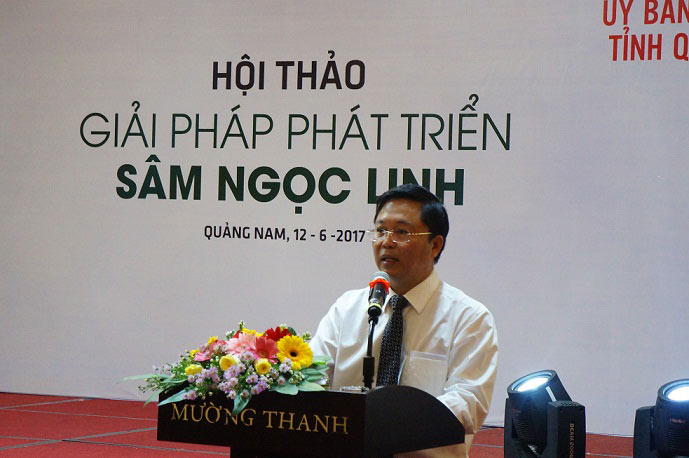 Sâm Ngọc Linh quý nhất thế giới "đẻ ra vàng" như thế nào? - 1