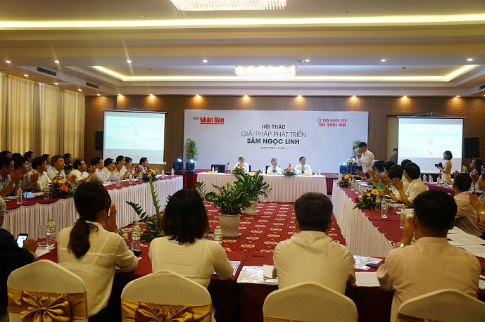 Sâm Ngọc Linh quý nhất thế giới "đẻ ra vàng" như thế nào? - 2