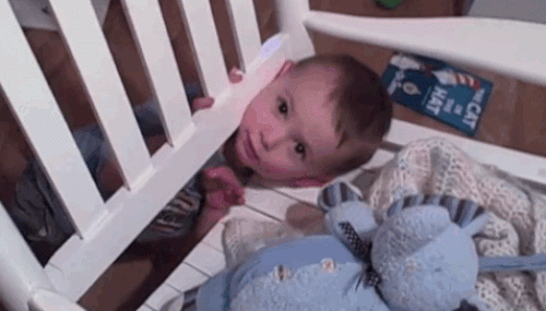 Ảnh động: Cười nghiêng ngả với các nhóc siêu quậy - 9