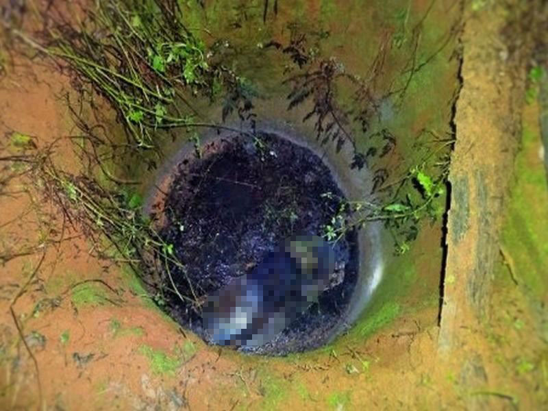 Tưới cà phê, tá hoả thấy xác người dưới giếng - 1