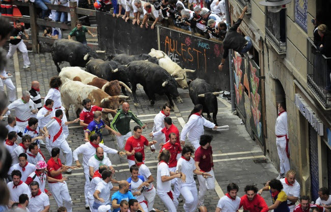 Encierro, Tây Ban Nha: Tại sự kiện này, mọi người sẽ cố gắng chạy khỏi sự truy đuổi của những con bò hung dữ dọc các đường phố. Hàng rào bằng gỗ được lắp đặt dọc tuyến đường để giúp người tham gia thoát thân khi cần thiết.