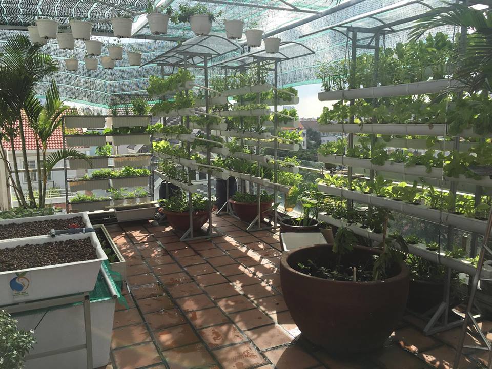 Kiếm tiền tỷ, vì sao Mỹ Linh, Thu Phương vẫn thích trồng rau, nuôi gà? - 2