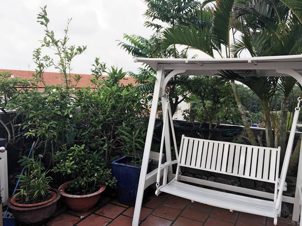 Kiếm tiền tỷ, vì sao Mỹ Linh, Thu Phương vẫn thích trồng rau, nuôi gà? - 9