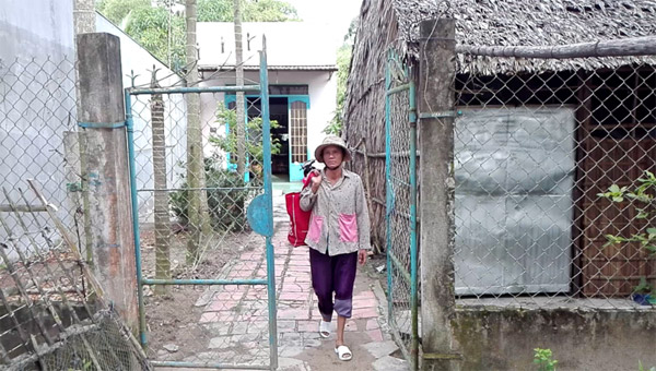 Chùm ảnh: Cụ bà 60 tuổi vẫn phải kiếm sống trên ngọn dừa - 1
