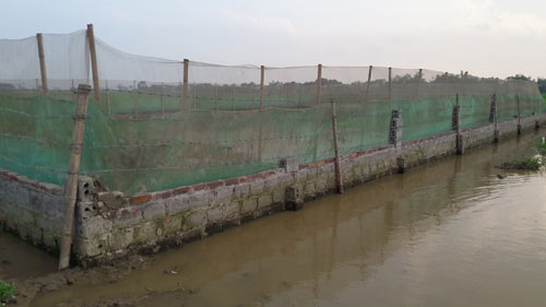 33 tuổi đời, 20 năm làm nghề “bảo mẫu” cho đàn rắn mòng - 4