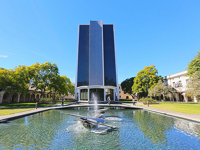 5. Viện Công nghệ California, điểm số toàn cầu 89.3/100.