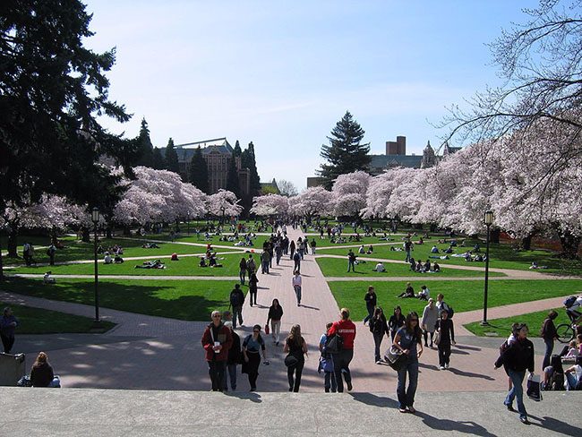 12. Đại học Washington, điểm số toàn cầu 85.4/100.