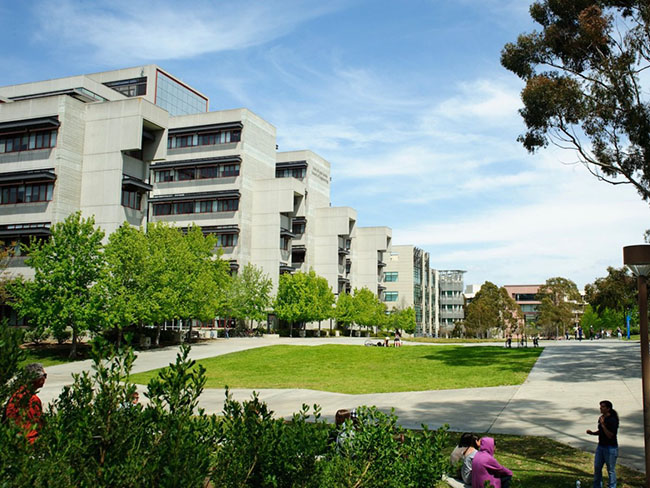 15. Đại học California, San Diego, điểm số toàn cầu 84.3/100.