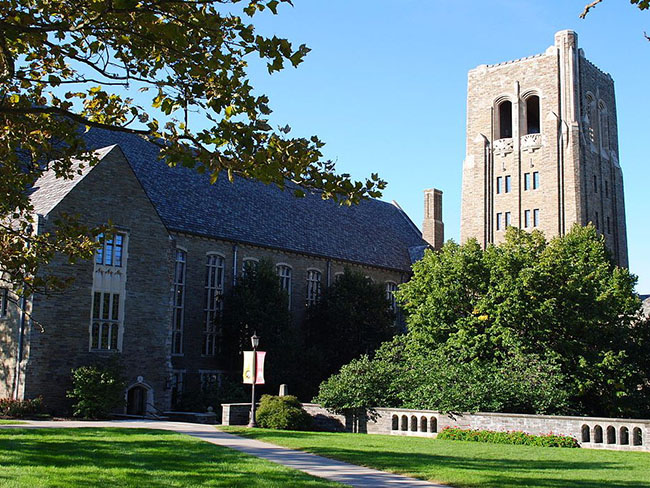 22. Đại học Cornell, điểm số toàn cầu 81.9/100.