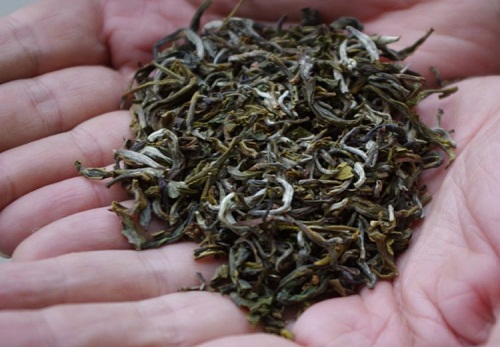 Dùng tay trần để sao, chè Tà Xùa tiền triệu mỗi kg vẫn đắt khách - 3