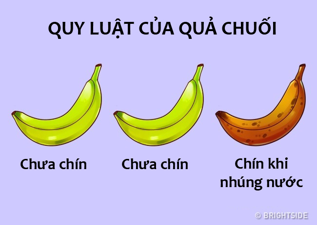 Đây là những điểm chung mà bất cứ người nào cũng phải trải qua - 5