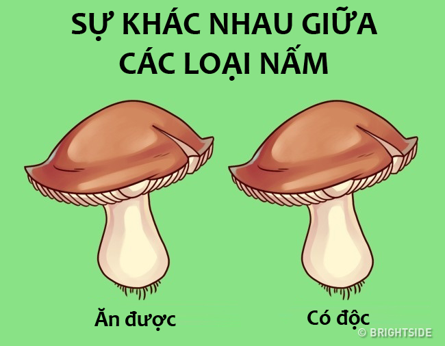 Đây là những điểm chung mà bất cứ người nào cũng phải trải qua - 10