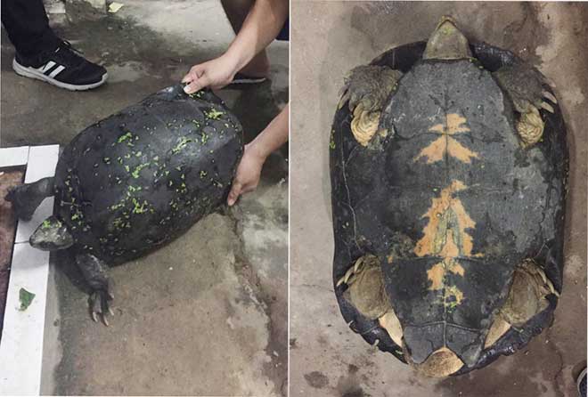 Nóng 24h qua: “Dẹp loạn” vỉa hè, Phó Chủ tịch phường bị tấn công - 3