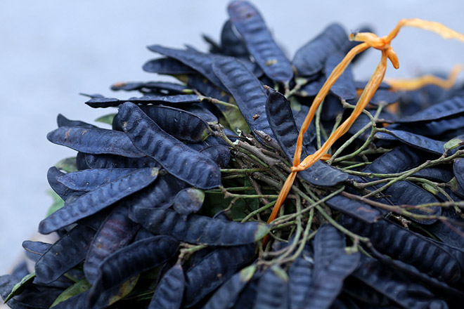 Kinh nghiệm quý giá từ dân gian trị bệnh rụng tóc, gàu và nấm da đầu - 2