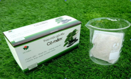 Kinh nghiệm quý giá từ dân gian trị bệnh rụng tóc, gàu và nấm da đầu - 4