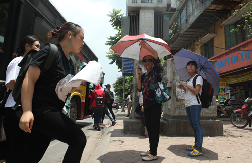 Những tuyến đường HN bị chặt cây xanh: Ngày ấy - Bây giờ - 15