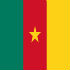 Chi tiết Cameroon - Australia: Những chiến binh quả cảm (KT) - 1