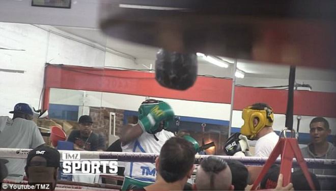 Mayweather tập như điên, thề sẽ cho McGregor đau đớn - 6