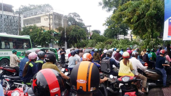 Ông Tây lao xuống đường chặt nhánh cây, giải phóng kẹt xe - 2