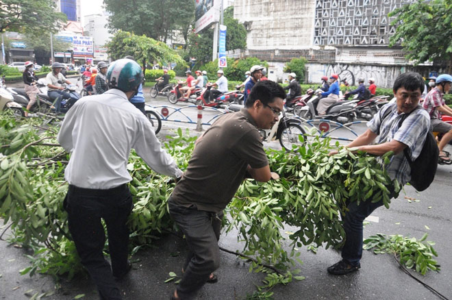 Ông Tây lao xuống đường chặt nhánh cây, giải phóng kẹt xe - 9