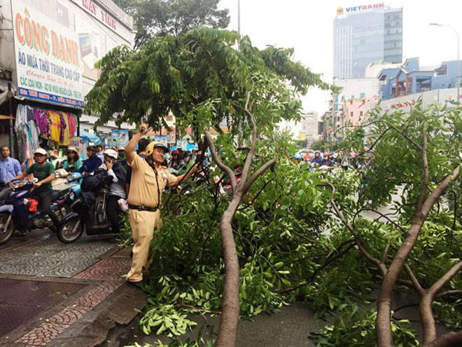 Ông Tây lao xuống đường chặt nhánh cây, giải phóng kẹt xe - 6