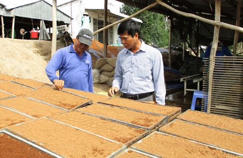 Dặm dài miền Tây: Chỉ đi cấy thuê mà thành tỷ phú - 2