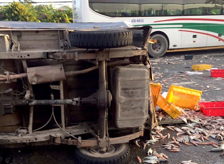 CSGT quận 12 cùng người dân thu gom cá giúp chủ xe gặp nạn - 2