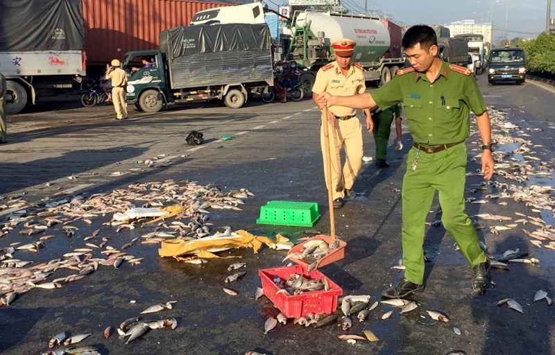 CSGT quận 12 cùng người dân thu gom cá giúp chủ xe gặp nạn - 3