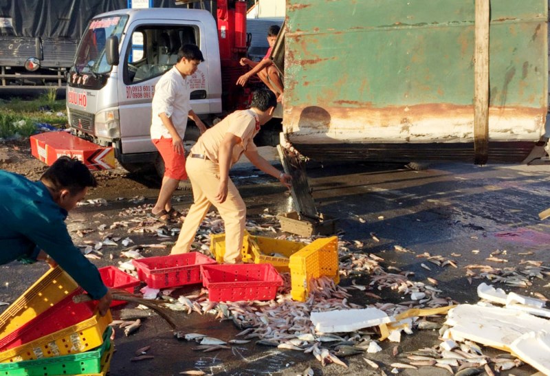 CSGT quận 12 cùng người dân thu gom cá giúp chủ xe gặp nạn - 4