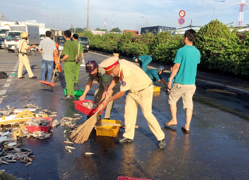 CSGT quận 12 cùng người dân thu gom cá giúp chủ xe gặp nạn - 5