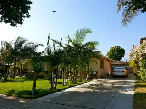 Gia tài kếch xù của Quang Lê ở tuổi 38: Tuấn Hưng cũng phải kiêng nể - 5